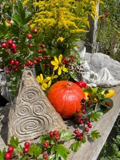 Die Kraft der herbstlichen Kräuter