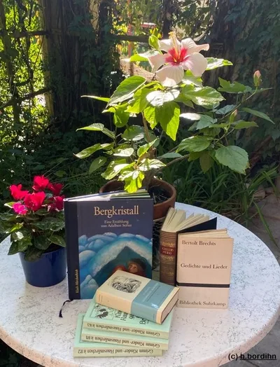 Literatur : Begegnungen – Lesung mit Lotte Riedlsperger